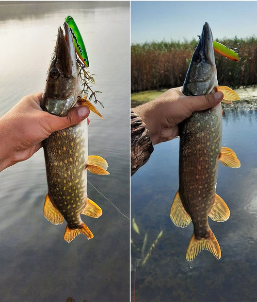 Isca Artificial Tsurinoya - Molinete Master